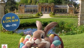 Chasse aux oeufs de Pâques