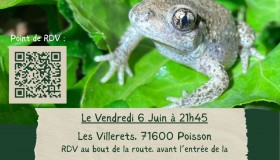 Découverte nocturne des amphibien du marais du bocage