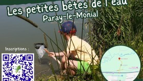 Petites Bêtes de l'Eau