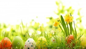 Chasse aux œufs à la piscine