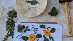 Atelier de teinture naturelle Tataki-zomé