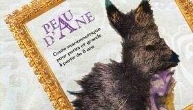 Spectacle Peau d'âne