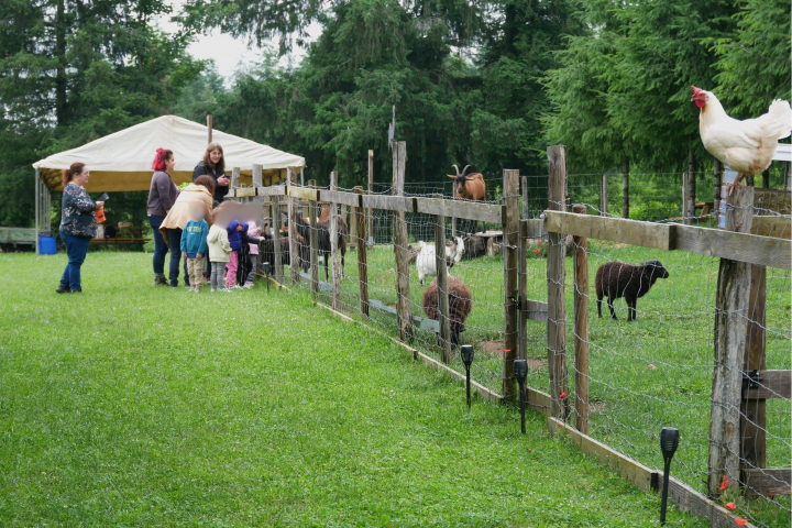 © ferme des irréductibles