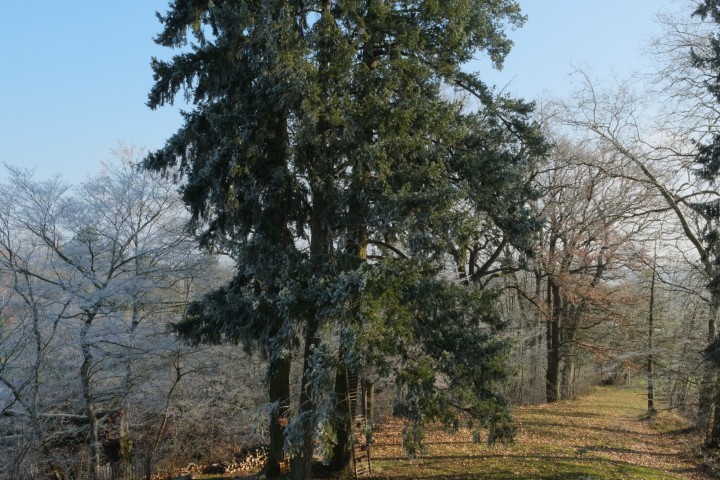 © Stijn Sanders