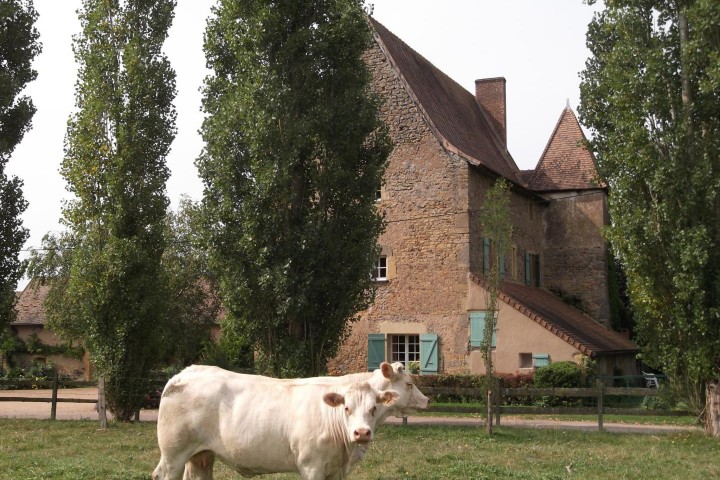 © Gîtes de France / Gîte de Sermaize