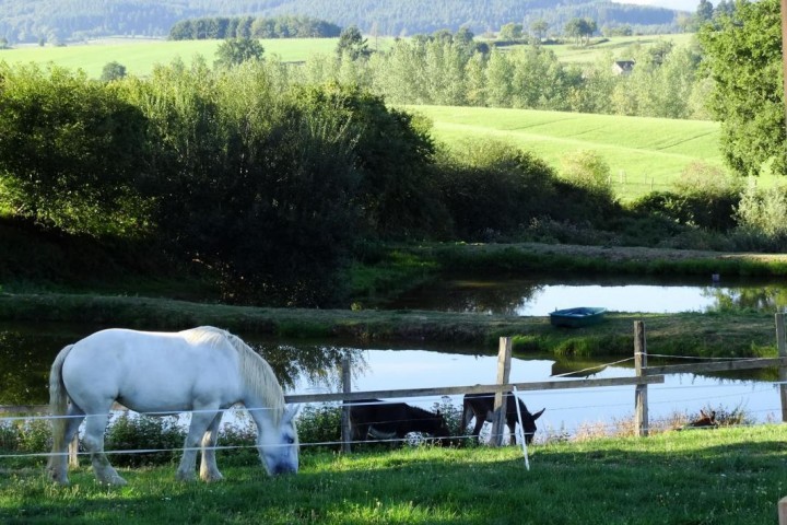 © Gîtes de France / Domaine de la Forêt