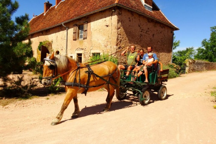 © Gîtes de France / Domaine de la Forêt