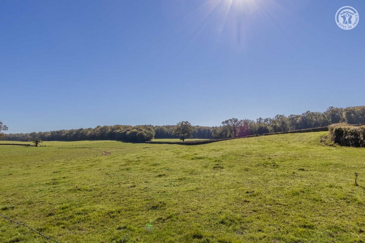 © Gîtes de France / Les Grenouilles