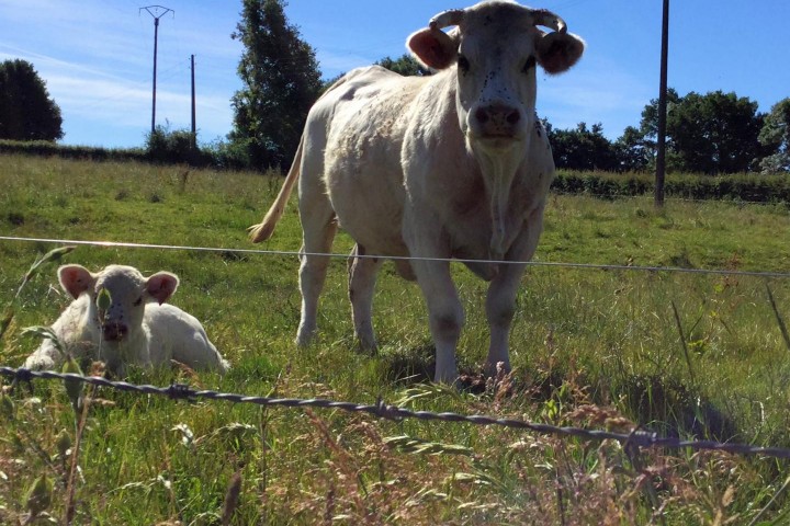 © Gîtes de France / Pré des Verchères