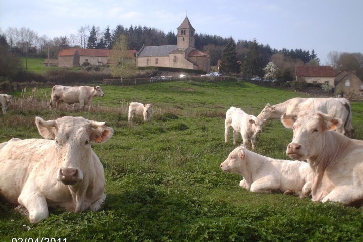 © Gîtes de France / La Campagnarde