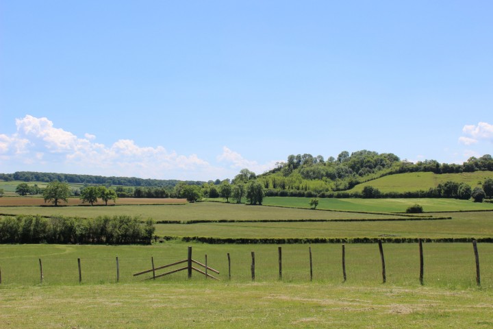 © Domaine des Marguerites