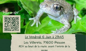 Découverte nocturne des amphibien du marais du bocage