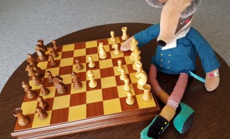 Animation Echecs à partir de 5 ans