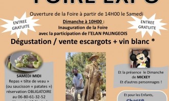 97ème FOIRE EXPO À PALINGES