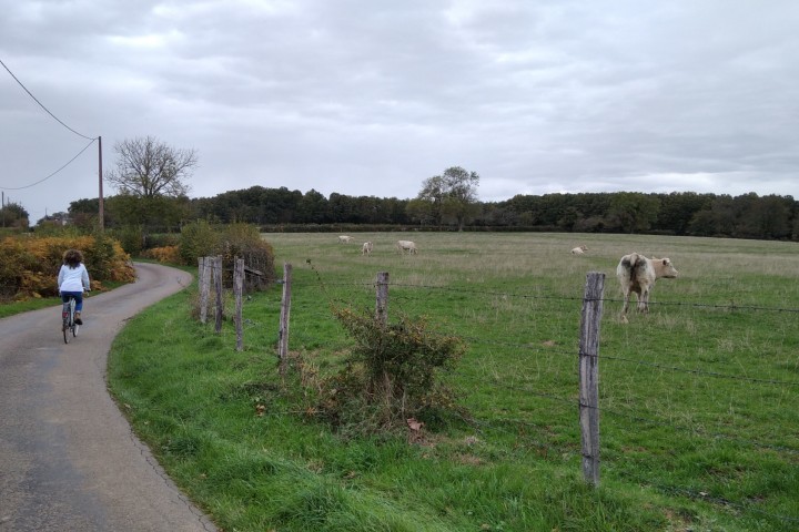 © Mélanie/OT Le Grand Charolais