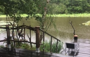 Chalet l'Etang de la Cloche