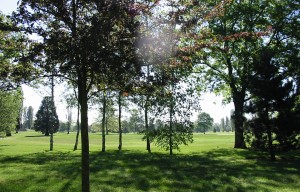 Paray-le-Monial : circuit n°4 - Rigny, le bois de la Motte, Digoin et voie verte