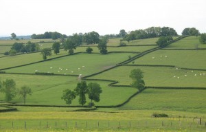 Paray-le-Monial : circuit n°12 - Monts et vallées en Charolais-Brionnais