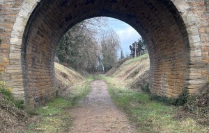 Balade Verte - Le Chêne à La Dame (CH 1) 
