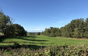 Balade Verte - Balade entre prairie, forêt et rivière (VSG 2)