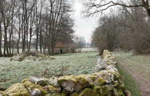 Balade Verte - Le grand Mornay (M2)