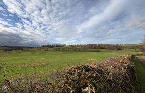 Balade Verte - Sentier panoramique (PZ1) 