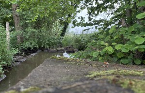 Le petit Martigny - Circuit VTT n°1