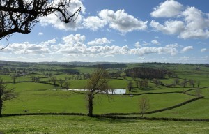 Balade Verte - Le Grand Tour (SJC4)