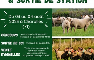 61ème Concours National Mouton Charollais
