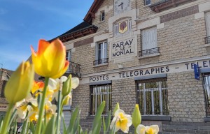 Visite thématique autour d'une couleur : le jaune doré