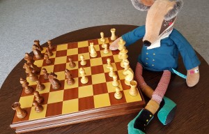Animation Echecs en famille (5 ans et +)