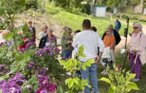 Visite du Jardin Saint Hugues
