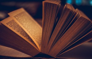 Salon du livre