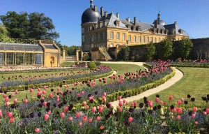 Fête des Plantes et des Fleurs