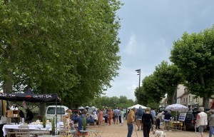 Vide grenier et marché producteurs