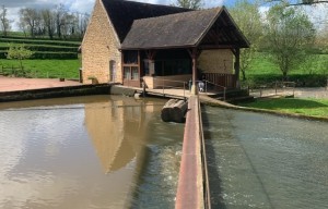 Fête du Moulin 