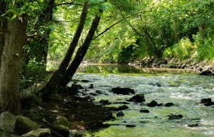 Conférence Débat : L'eau, entre crise et solutions