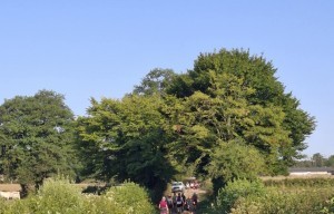 Marche de l’Entrecôte 