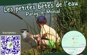 Petites Bêtes de l'Eau