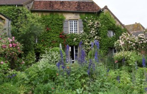 Jardin de la Fontaine 