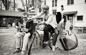 Les 3 Moustiquaires 