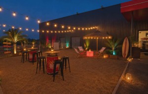 SUMMER PARTY