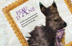 Spectacle Peau d'âne