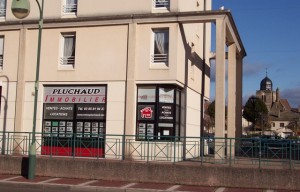 Agence immobilière Pluchaud