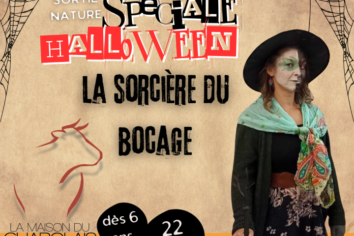 © La Maison du Charolais 