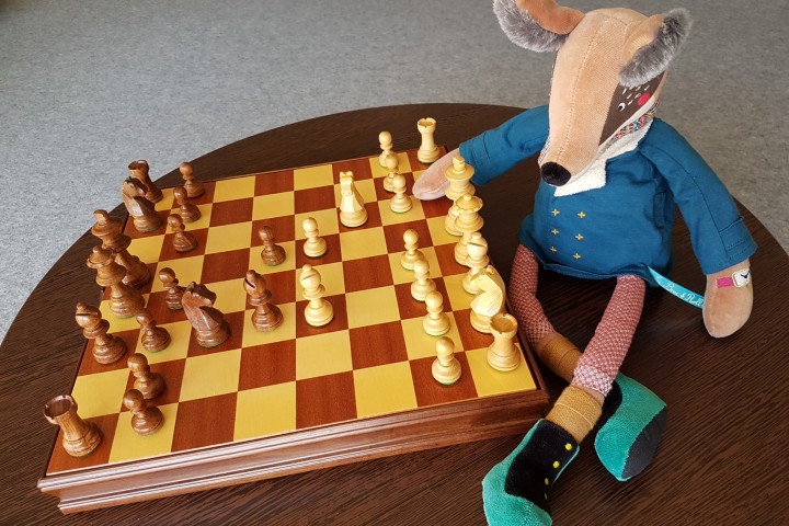 © bibliothèque municipale