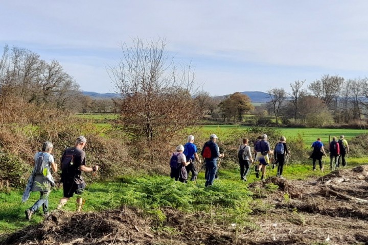 © Jean-Pierre Auboeuf