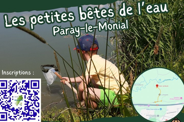 © Quentin Ryckebusch