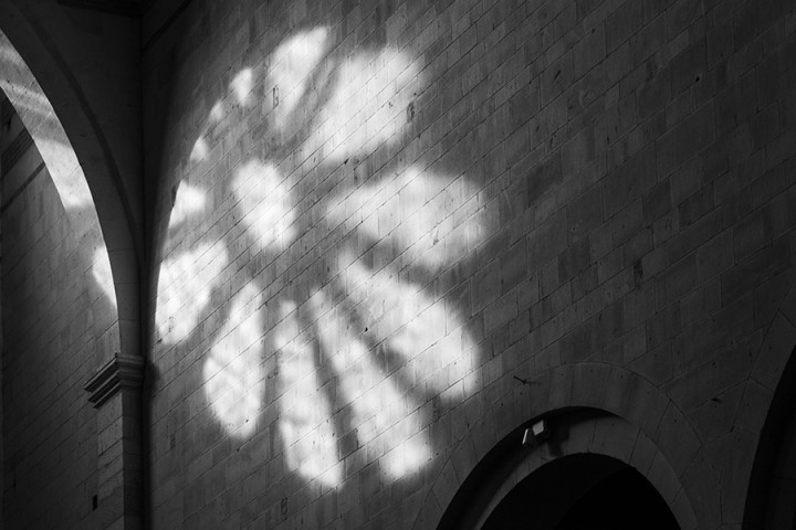 © © Ferrante Ferranti