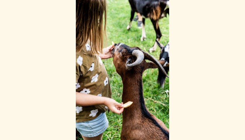 © ferme des irréductibles